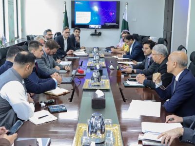 وفاقی وزیر پٹرولیم علی پرویز ملک