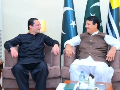 وفاقی وزیر انجینئر امیر مقام