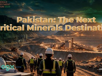 ریکو ڈک اور امریکی شراکت داری