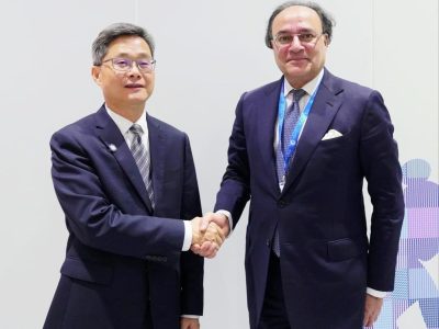 وزیرخزانہ محمداورنگزیب