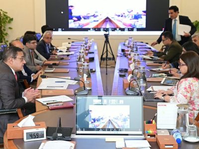 وفاقی وزیر اقتصادی امور
