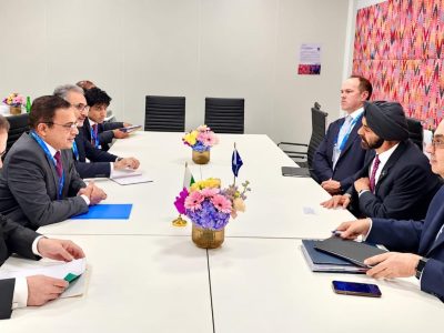 وفاقی وزیر احد چیمہ