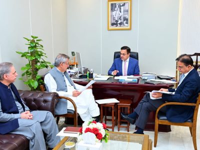 سینیٹر احد چیمہ