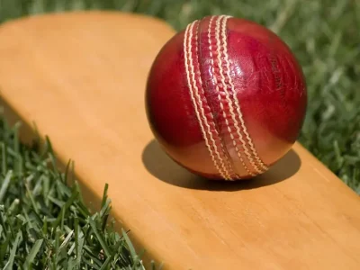 راولپنڈی،کرکٹ کے فروغ اور تنظیمی امور کو مزید مؤثر بنانے کے لیے مختلف کمیٹیاں تشکیل