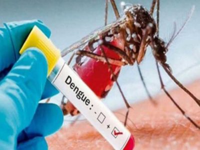 راولپنڈی میں ڈینگی کے مزید تین کیسز کی تصدیق، رواں سال تعداد 12 ہوگئی
