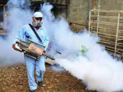 Dengue