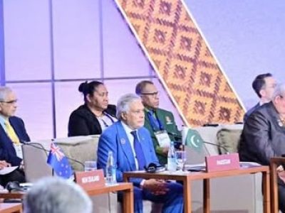 نائب وزیراعظم