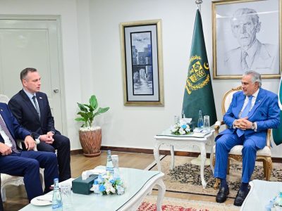 نائب وزیراعظم