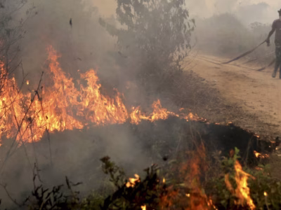 forest fires