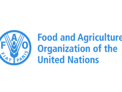 fao_logo_3lines_en1