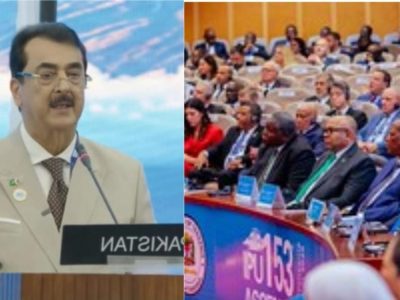 چیئرمین سینیٹ
