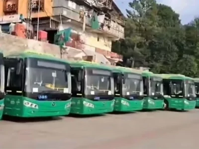 Green electric buses