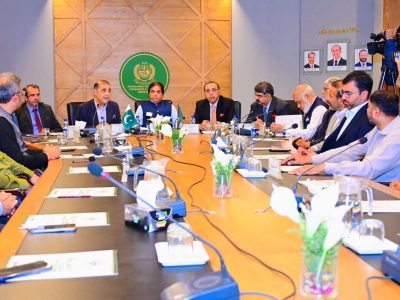 وفاقی وزیر محمد حنیف عباسی