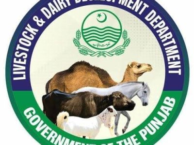 محکمہ لائیو سٹاک کی ہیٹ ویو کے پیشِ نظر جانوروں کی صحت اور پیداواری صلاحیت کے تحفظ کیلئے احتیاطی تدابیر اختیار کرنے کی ہدایت