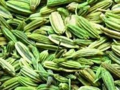سونف