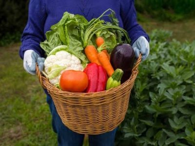 winter vegetables