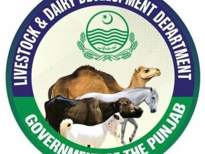 Livestock Department