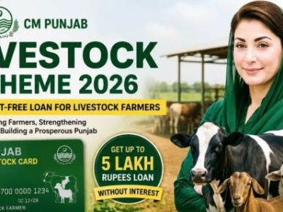 ہل مویشی پال کسان وزیر اعلیٰ پنجاب کے اس کسان دوست پروگرام کے تحت 5 لاکھ 40 ہزار روپے تک بلا سود قرض حاصل کر سکتے ہیں،فوکل پرسن لائیو سٹاک راولپنڈی ڈاکٹر مادحہ طارق