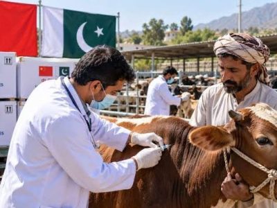 Vaccination