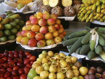 fruit exports