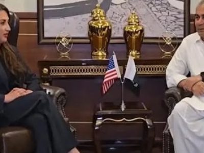 وفاقی وزیر داخلہ محسن نقوی