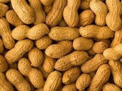 peanuts