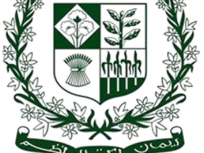 Petroleum Division