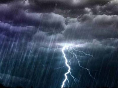 PDMA