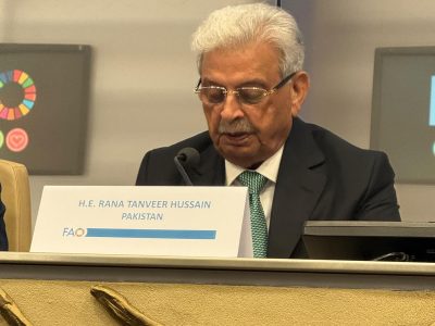 وفاقی وزیر رانا تنویر حسین