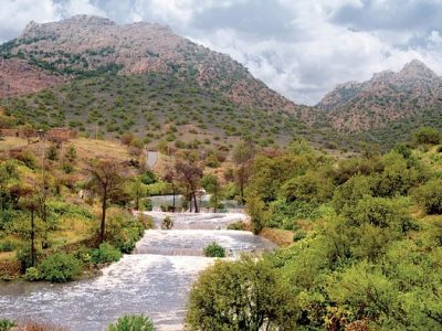 saysaad