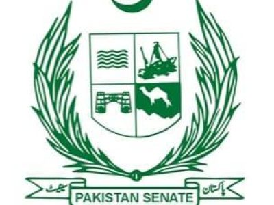 سینیٹ کی قائمہ کمیٹی برائے نیشنل ہیلتھ سروسز