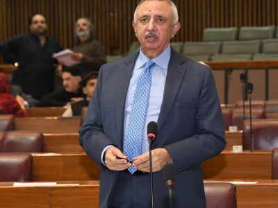 بجٹ میں تعلیم وصحت سمیت عوامی اہمیت کے شعبوں پر توجہ مرکوز کی جائے، سینیٹر شہادت اعوان
