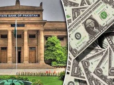 زرمبادلہ کے ذخائر