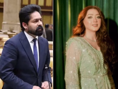 this-combination-of-photos-shows-pml-n-mpa-saqib-chadhar-and-actor-momina-iqbal