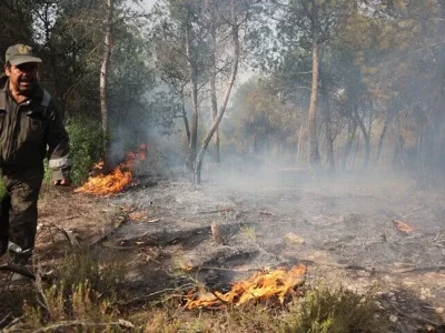 الجزائر میں شدید گرمی کے باعث جنگلاتی آگ، 6 افراد ہلاک