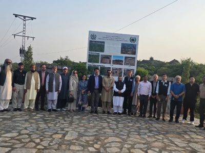 اورنگزیب خان کھچی