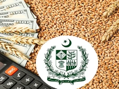 محکمہ زراعت کی کاشتکاروں کوگندم کی اگیتی کاشت کیلئے ابھی سے زمین کی تیاری شروع کرنے کی ہدایت