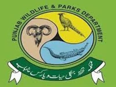محکمہ جنگلی حیات کی رواں ماہ کے دوران وائلڈ لائف کرائمز کے خلاف کارروائی