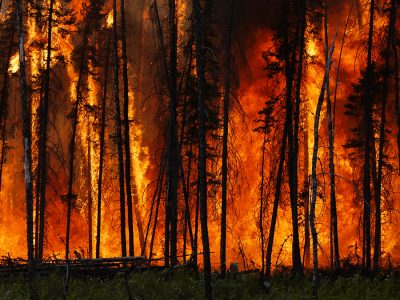 wildfire