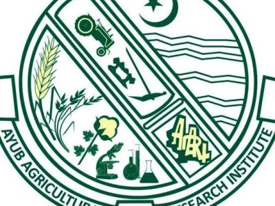 ایوب زرعی تحقیقاتی ادارہ فیصل آباد