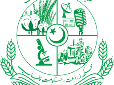 حکمہ زرعی انجینئرنگ سیالکوٹ