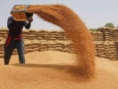 حکومت پنجاب نے گندم کی امدادی قیمت 4500 روپے فی من مقرر کر دی