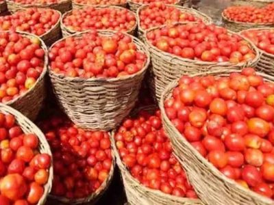 راولپنڈی میں ٹماٹر کی قیمت میں ہوشربا اضافہ