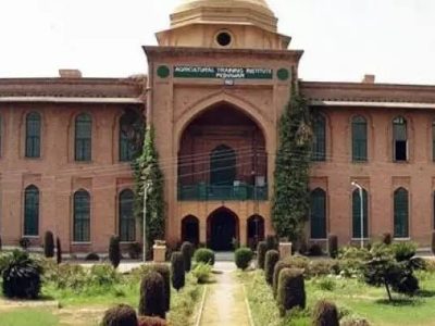 زرعی یونیورسٹی پشاور