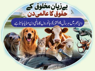 عالمی یوم حیوانات پر لاڑکانہ میں خصوصی تقریب