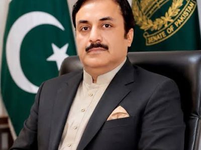 قائم مقام چیئرمین سینیٹ سیدال خان ناصر