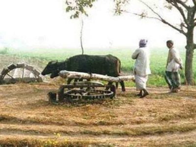مثالی گاوں پروگرام