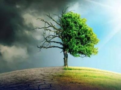 محکمہ تحفظ ماحولیاتی