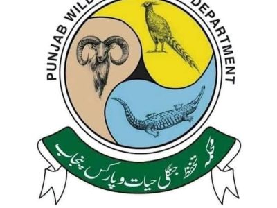 محکمہ جنگلی حیات