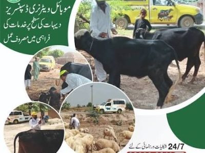 محکمہ لائیو سٹاک اینڈ ڈیری ڈویلپمنٹ ملتان
